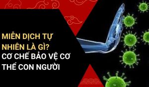 miễn dịch tự nhiên là gì