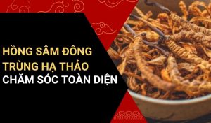 viên hồng sâm đông trùng hạ thảo