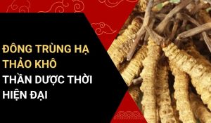 đông trùng hạ thảo khô