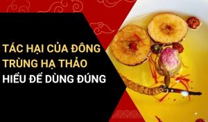 tác hại của đông trùng hạ thảo