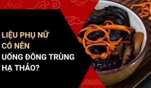 phụ nữ uống đông trùng hạ thảo có tốt không