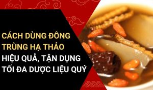 cách dùng đông trùng hạ thảo
