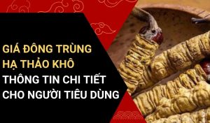 giá đông trùng hạ thảo khô