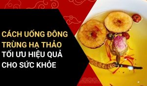 cách uống đông trùng hạ thảo