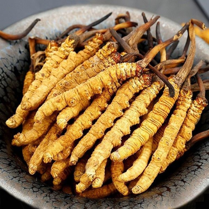 Đông trùng hạ thảo Hàn Quốc là gì?