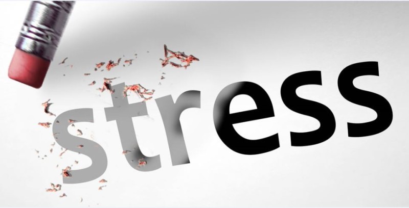 Giảm stress và chống trầm cảm nhờ hồng sâm: Lựa chọn tự nhiên thay thế dược phẩm?