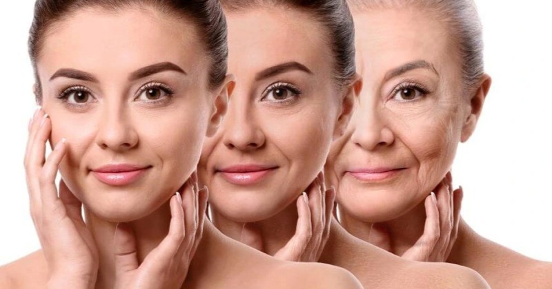 Làm chậm quá trình lão hóa và cải thiện sức khỏe toàn diện