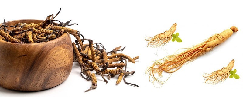 Những Tác Dụng Mới Mẻ Ít Ai Nhắc Đến Của Hồng Sâm Đông Trùng Hạ Thảo