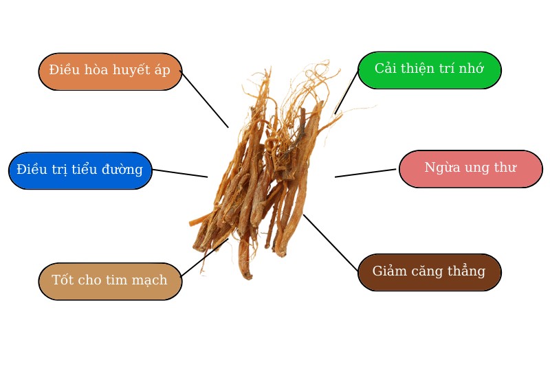Hồng Sâm Hàn Quốc Có Tốt Cho Người Già Không?