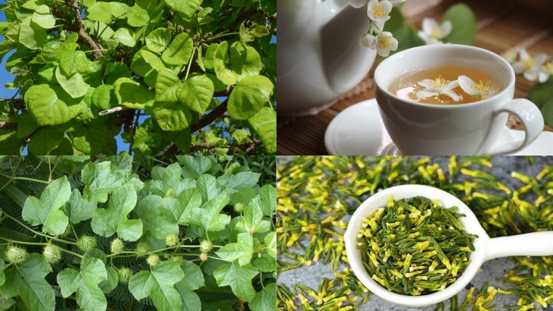 Mẹo chữa mất ngủ dân gian với thảo dược tự nhiên – “thuốc ngủ xanh” của người xưa