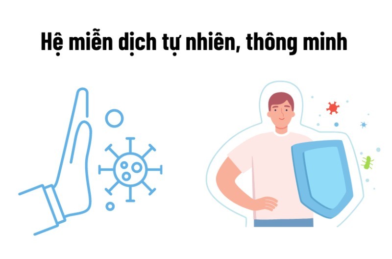 Miễn Dịch Tự Nhiên: Tuyến Phòng Thủ Đầu Tiên Của Cơ Thể
