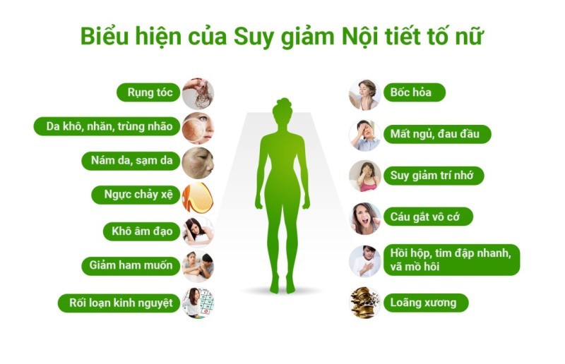 Nhận Diện Sớm Triệu Chứng Suy Giảm Nội Tiết Tố Nữ