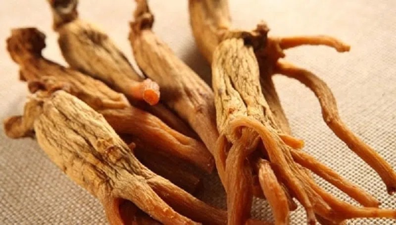 Những Thành Phần Và Nghiên Cứu Hỗ Trợ Khả Năng Tăng Sức Đề Kháng