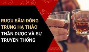 rượu sâm đông trùng hạ thảo