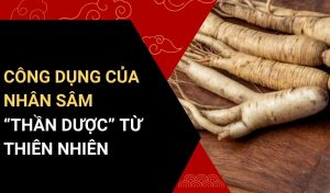 công dụng của nhân sâm
