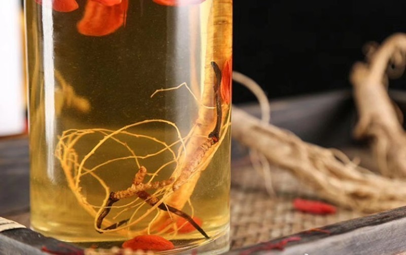 Vì sao rượu sâm đông trùng hạ thảo cần ngâm đúng cách mới hiệu quả?